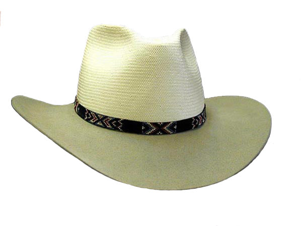 AzTex Standout Cowboy Hat