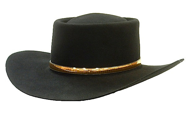 AzTex Waylon (The Later Years) Hat