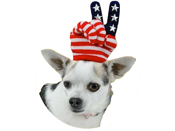 American Flag Mini Hat by Elope Hats