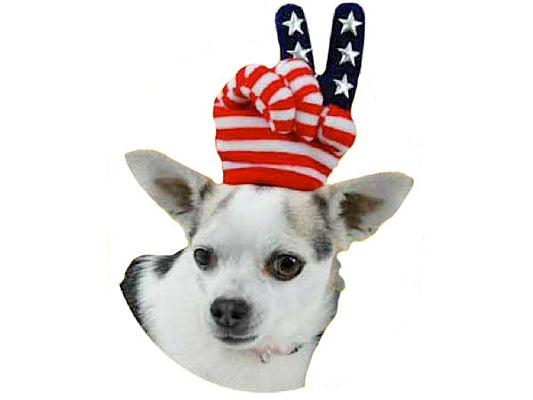 American Flag Mini Hat by Elope Hats