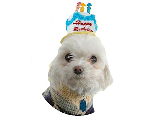 Happy Birthday Mini Hat by Elope Hats