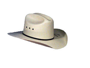 Lone Star Billy Kids Cowboy Hat